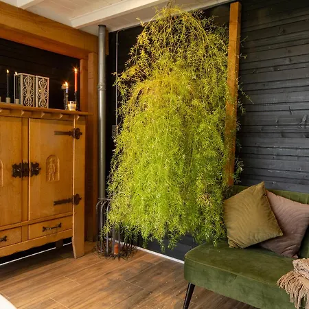 דירה Barghorn Bed & Wellness Barsingerhorn